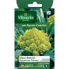 Castorama Graines De Chou Brocoli Romanesco Précoce garantis authentique 7