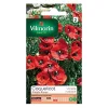 Neuve avec étiquette Castorama Graines De Coquelicot Simple Rouge Vilmorin 7