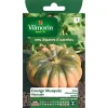 vente en ligne pas cher Castorama Graines De Courge Musquée D’Hiver De Provence 7