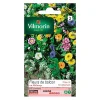 Castorama Graines De Fleurs Annuelles En Mélange Pour Balcons soldes en ligne 5