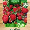 Castorama Graines De Fraisier Bio qualité supérieure 5