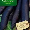 exclusivement disponibles Castorama Graines De Radis Noir Gros Long D’Hiver Vilmorin 5