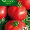 Nouvelle Collection Castorama Graines De Tomate Fournaise Hybride F1 Vilmorin 7